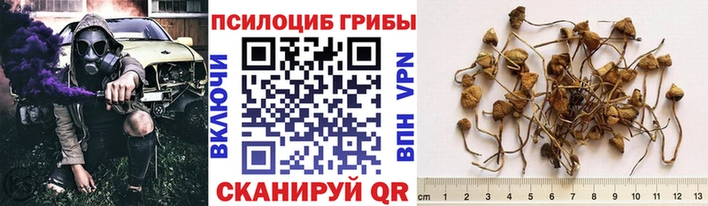 Псилоцибиновые грибы прущие грибы  дарнет шоп  Фрязино 