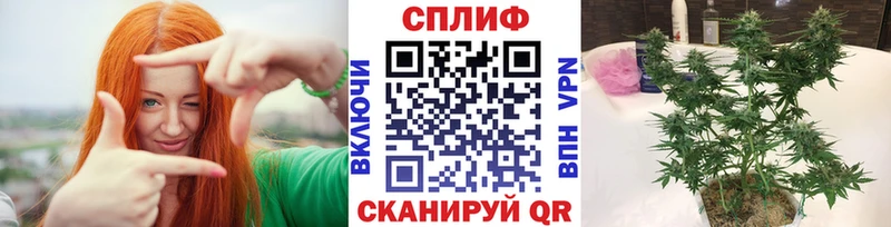 Шишки марихуана MAZAR Фрязино